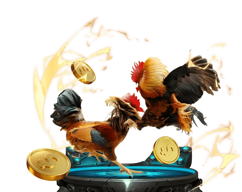 Xác nhận và hoàn tất đăng ký 555win